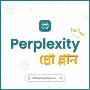 Perplexity Pro Plan