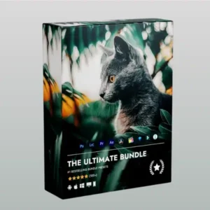 The Ultimate Presets Bundle
