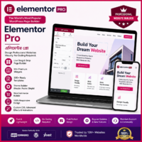 Elementor Pro - Plugin - এলিমেন্টর প্রো